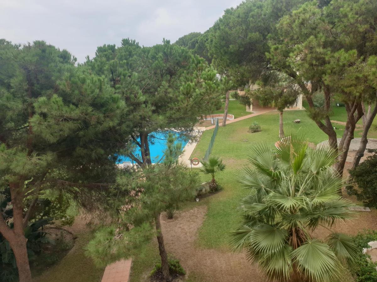 Precioso Estudio Con Piscina A 200M Del Mar Марбелья Экстерьер фото